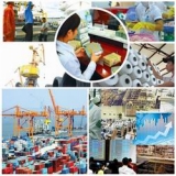 Chỉ đạo, điều hành của Chính phủ, Thủ tướng Chính phủ nổi bật tháng 2/2017