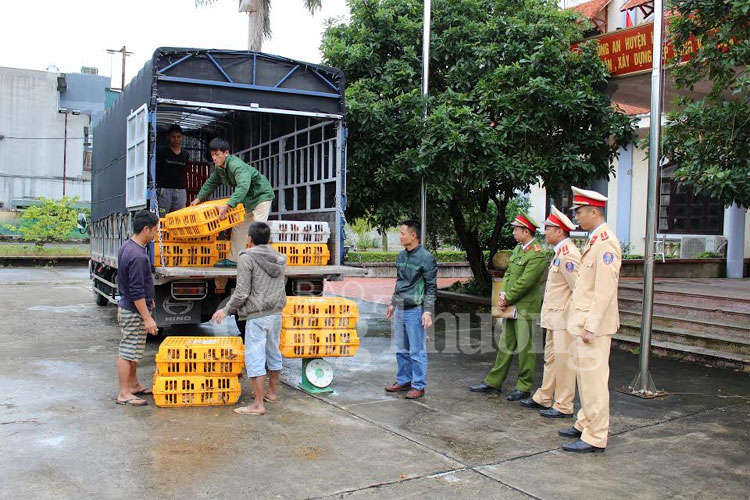 Quảng Ninh tăng cường kiểm soát cúm gia cầm H7N9 từ biên giới